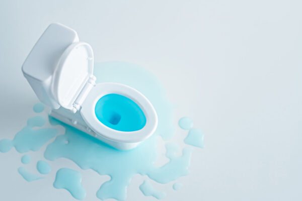 【トイレつまりの味方】すっぽんの使い方とは？